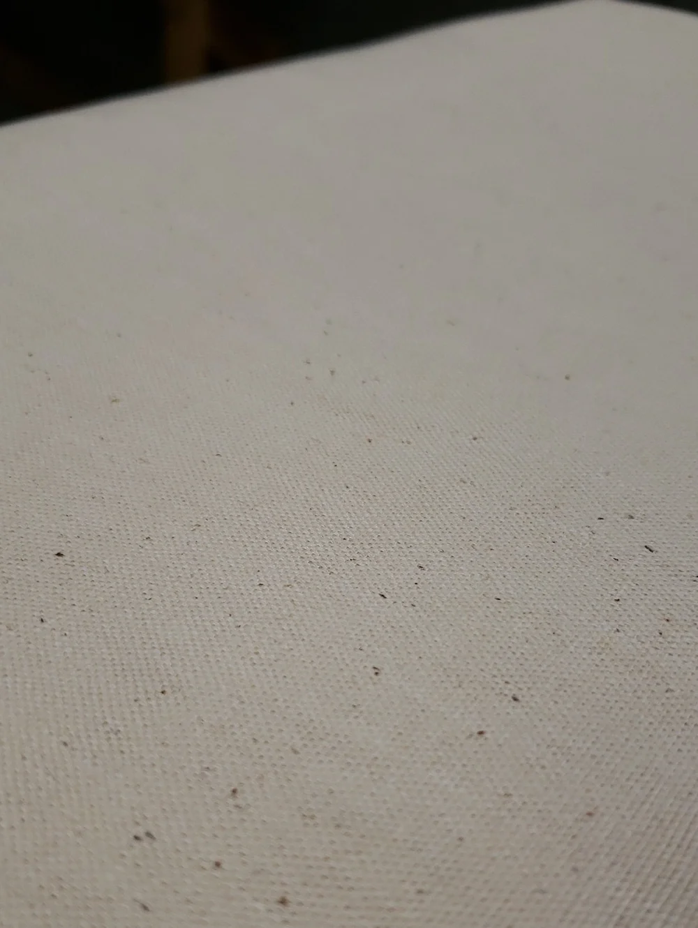 Vintage Natural Canvas Fabric Roll- Natural 2 Yards